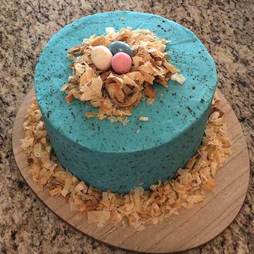 robins egg cake