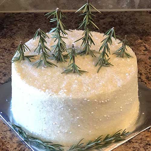 snow tree cake